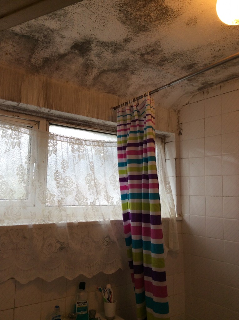 Damp investigation