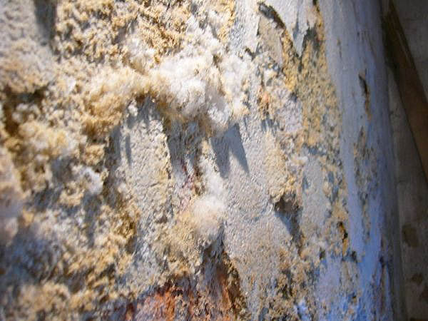 efflorescence-inspection